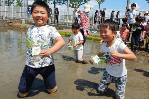 こどもの日。