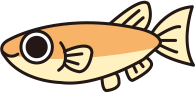 かぜのねこども園