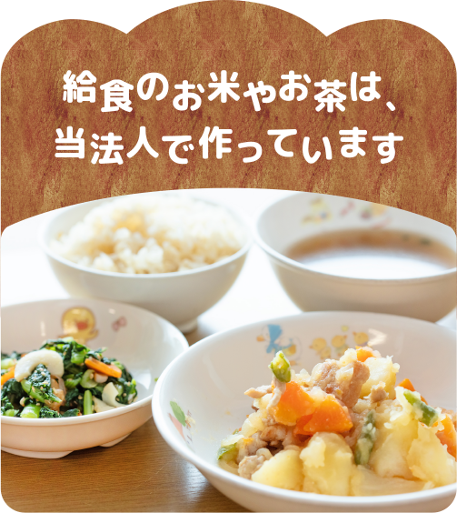 給食のお米やお茶は当法人で作っています。