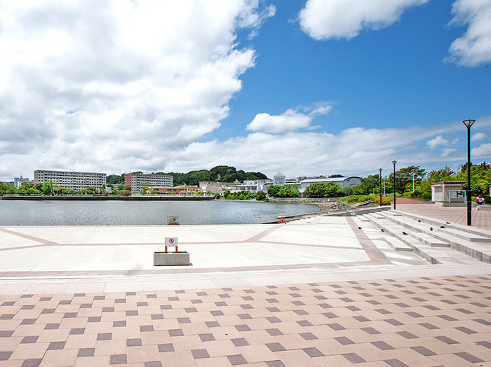 富岡並木ふなだまり公園