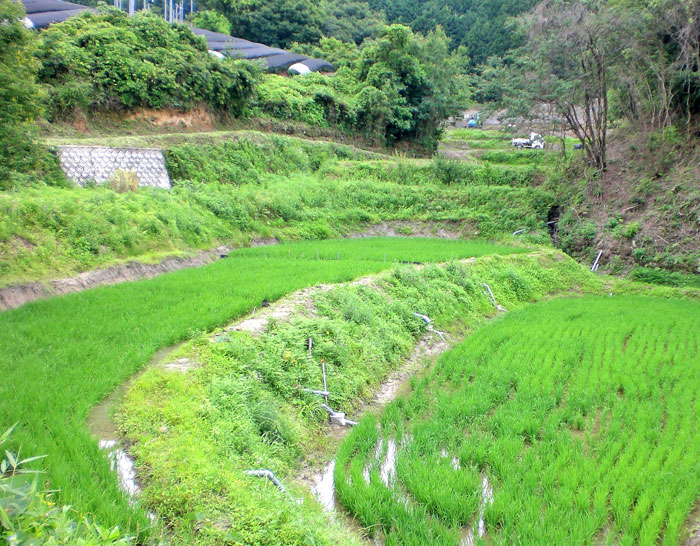 京都府相楽郡のファーム