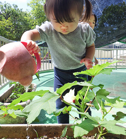 水やり「大きく育ってね」