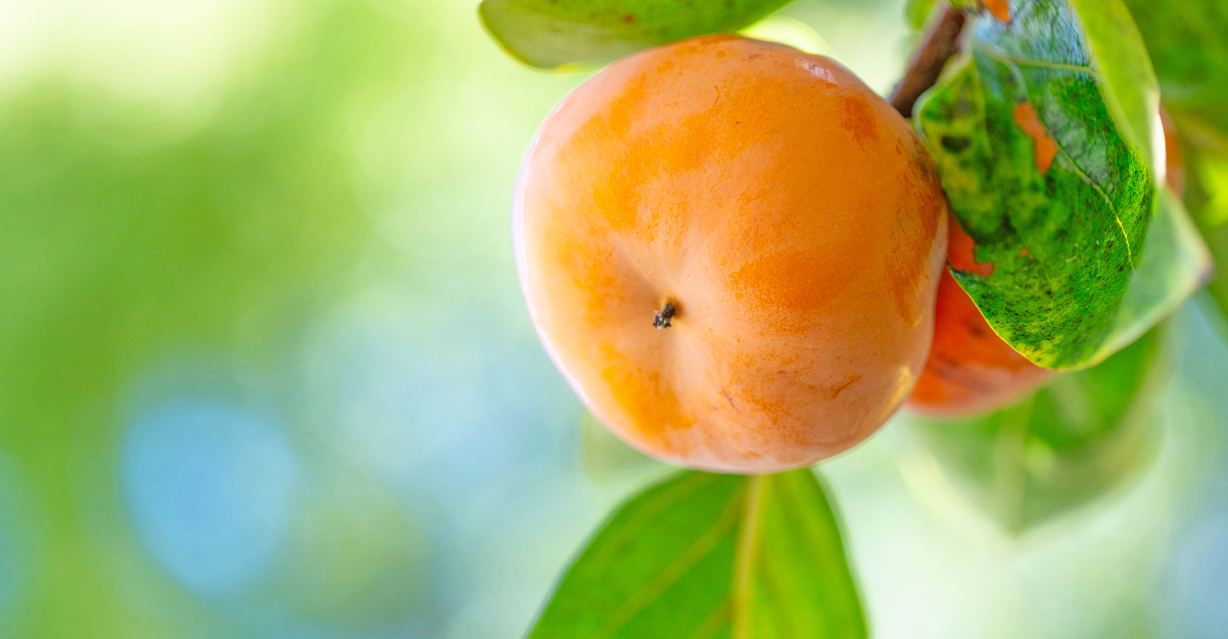 苦情解決と報告