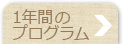 1年間のプログラム