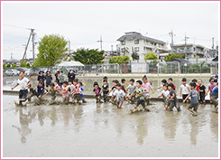 田植え