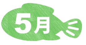 5月